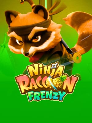 Ninja Raccoon Frenzy