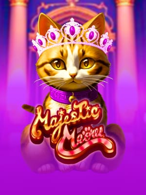 Gato Majestuoso