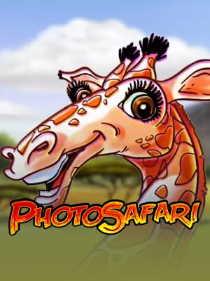 Photo Safari