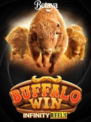 Buffalo Win