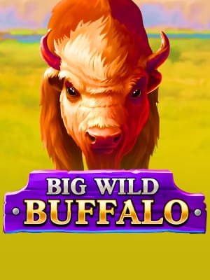 Big Wild Buffalo