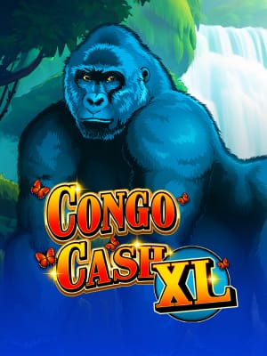 Congo Cash XL