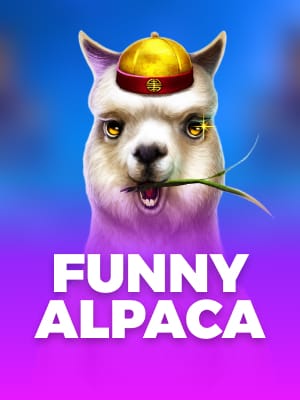 Alpaca Divertida