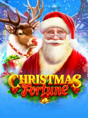 Christmas Fortune