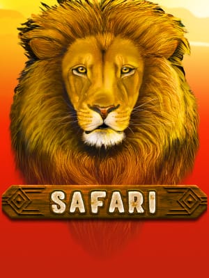 Safari