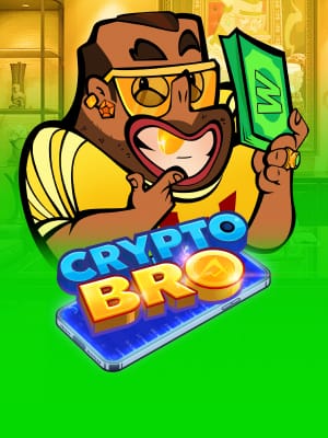 Cripto Bro