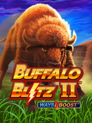 Buffalo Blitz 2